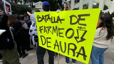 "Farmear aura" es una nueva manera de interactuar: experto pide dejar de rebajar las relaciones de los jóvenes "Farmear aura" es una nueva manera de interactuar: experto pide dejar de rebajar las relaciones de los jóvenes