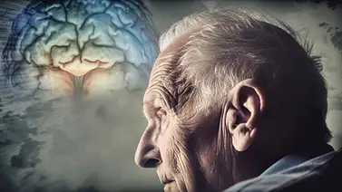 Comprender el Alzheimer: cuando los recuerdos piden refugio Comprender el Alzheimer: cuando los recuerdos piden refugio