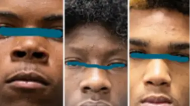 Tres adolescentes irán a juicio como adultos por ataques a personas sin hogar en Florida Tres adolescentes irán a juicio como adultos por ataques a personas sin hogar en Florida