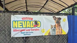 Conoce cuál es el horario de atención en las jornadas que realiza Misión Nevado en La Guaira