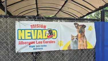 Conoce cuál es el horario de atención en las jornadas que realiza Misión Nevado en La Guaira Conoce cuál es el horario de atención en las jornadas que realiza Misión Nevado en La Guaira
