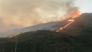 Instalan sistema de vigilancia para detectar delitos ambientales