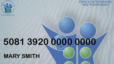 EBT Florida SNAP EBT Florida SNAP