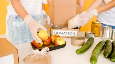 Comida gratis Comida gratis