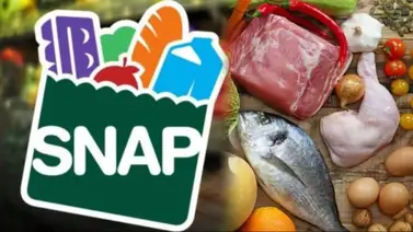 beneficios snap pagos florida semana beneficios snap pagos florida semana