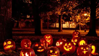 Halloween 2024: Así comienzan los preparativos en EEUU Halloween 2024: Así comienzan los preparativos en EEUU