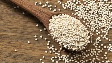 Quinoa | Beneficios para fortalecer el sistema inmune Quinoa | Beneficios para fortalecer el sistema inmune