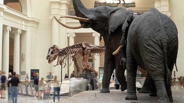 museos chicago illinpis atracciones gratuitas gratis septiembre eeuu
