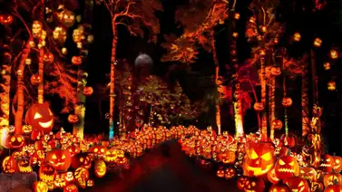 Sepa cuándo comienza el festival Jack O’Lantern World (+Fecha) Sepa cuándo comienza el festival Jack O’Lantern World (+Fecha)