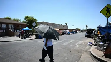 Altas temperaturas causan más de 150 muertos en Arizona Altas temperaturas causan más de 150 muertos en Arizona