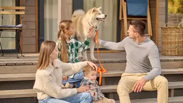 2001online - EEUU - ciudades 2001online - EEUU - ciudades