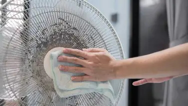 Ventilador: guía de cómo debes limpiarlo y con cuánta frecuencia Ventilador: guía de cómo debes limpiarlo y con cuánta frecuencia