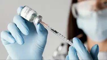 2001online - Venezuela- vacunación 2001online - Venezuela- vacunación