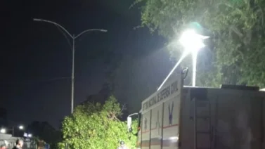 Motorizado murió aplastado por un árbol en Barinas