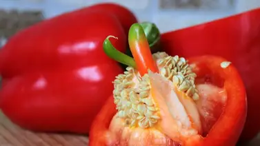 10 alimentos ricos en vitamina A que no pueden faltar en tu dieta 10 alimentos ricos en vitamina A que no pueden faltar en tu dieta