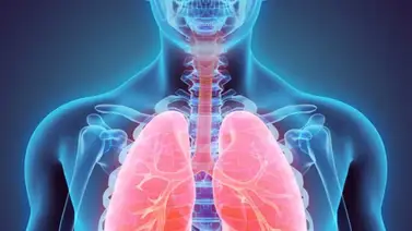 Remedios caseros para limpiar las vías respiratorias Remedios caseros para limpiar las vías respiratorias