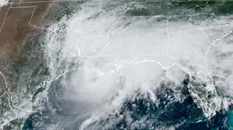 EEUU | Ante el paso de Francine conozca cómo obtener ayuda económica