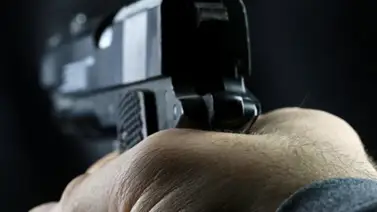 California | Hombre masacró a 81 animales en una noche California | Hombre masacró a 81 animales en una noche