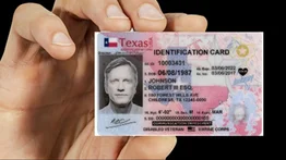 Licencia de conducir gratis: ¿Quiénes pueden solicitarla?