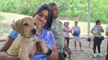 Activan puntos de atención veterinaria gratuita en Caracas y Miranda este #14Sep Activan puntos de atención veterinaria gratuita en Caracas y Miranda este #14Sep