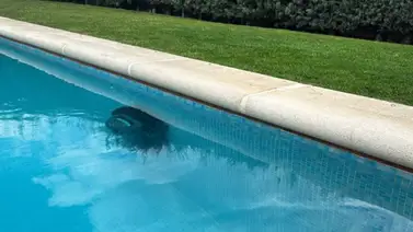 Niño venezolano murió durante excursión escolar (+Detalles) Niño venezolano murió durante excursión escolar (+Detalles)