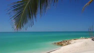 Encontraron un tesoro de cinco mil dólares en una playa de Florida Encontraron un tesoro de cinco mil dólares en una playa de Florida
