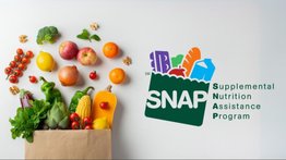 cupones snap beneficios florida renovación
