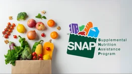 cupones snap beneficios florida renovación