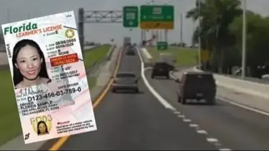 conducir-edad-límite-florida  conducir-edad-límite-florida