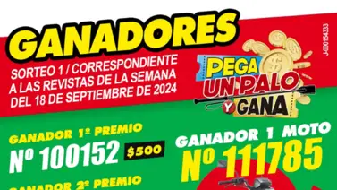 Este premio podría ser tuyo: ganadores sorteo 1 Pega un palo y Gana Este premio podría ser tuyo: ganadores sorteo 1 Pega un palo y Gana