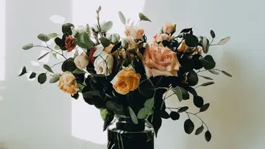 ¿Tus flores naturales se "mueren" rápido? 5 trucos para alargar su vida  ¿Tus flores naturales se "mueren" rápido? 5 trucos para alargar su vida