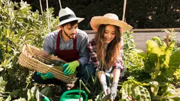 California | Dan beneficios a trabajadores agrícolas