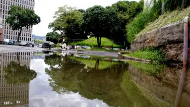 2001online - Venezuela - Morán 2001online - Venezuela - Morán