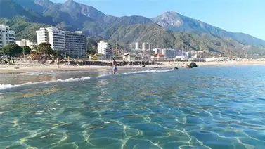 Aparecen 10 kilos de peces muertos en La Guaira Aparecen 10 kilos de peces muertos en La Guaira