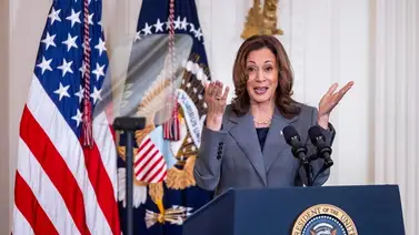 De la Red Carpet a la “pasarela demócrata” en apoyo a Kamala Harris De la Red Carpet a la “pasarela demócrata” en apoyo a Kamala Harris