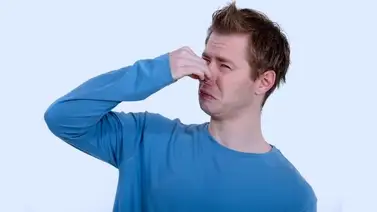 ¿Sabes por qué los granos producen gases intestinales? Aquí te lo decimos ¿Sabes por qué los granos producen gases intestinales? Aquí te lo decimos