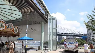 Reportan hallazgo de restos humanos bajo famoso Brooklyn Bridge Reportan hallazgo de restos humanos bajo famoso Brooklyn Bridge