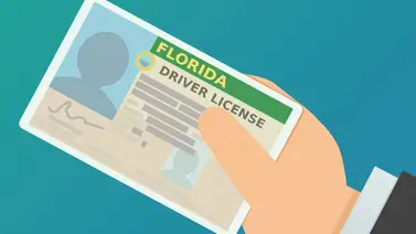 Licencia de conducir Florida Licencia de conducir Florida