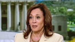 Kamala Harris es criticada por usar valioso collar en la frontera (+Foto)