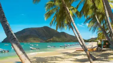 ¿Cuánto cuesta ir a Margarita en septiembre? Comparativa de precios y opciones de viaje ¿Cuánto cuesta ir a Margarita en septiembre? Comparativa de precios y opciones de viaje