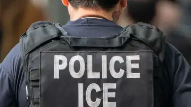 ice-nueva-estategía-padres-buscan-hijos  ice-nueva-estategía-padres-buscan-hijos