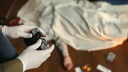 México: revelan detalles del brutal asesinato de la influencer Esmeralda Ferrer y su familia