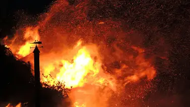 temporada-incendios-california-recomendaciones temporada-incendios-california-recomendaciones