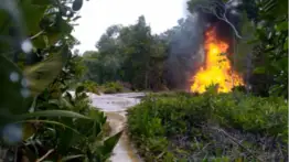 FANB inutiliza nueva aeronave: cuál es el balance durante este 2025