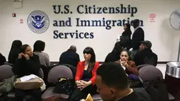 uscis-contrata-agentes-
