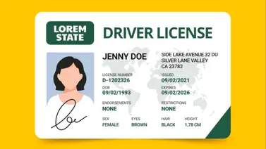 Licencia de conducir en Florida para inmigrantes y no-inmigrantes Licencia de conducir en Florida para inmigrantes y no-inmigrantes