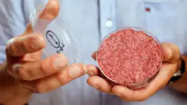 Cero carne de laboratorio: Texas se suma, con lo cual se expande la prohibición en el sur de EEUU