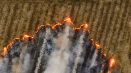 Prevención-incendios- programa-subvenciones-California