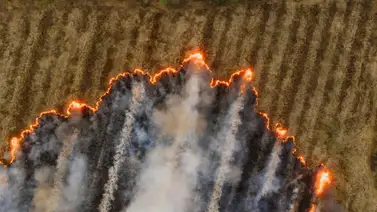 Prevención-incendios- programa-subvenciones-California Prevención-incendios- programa-subvenciones-California