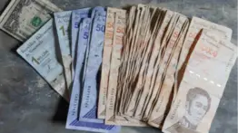 Patria: nuevos bonos llegan entre el 8 y el 13 de septiembre; revisa los montos y quiénes los reciben